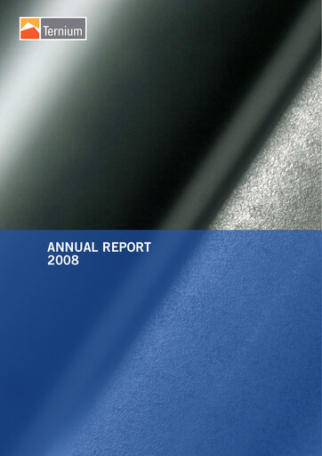 Miniature Ternium Argentina Rapport annuel 2008