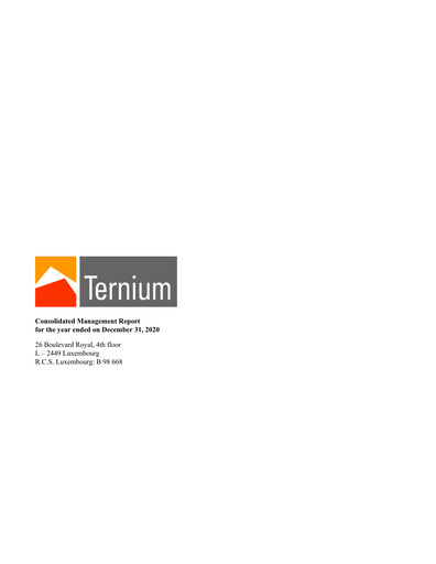 Miniature Ternium Argentina Rapport annuel 2020