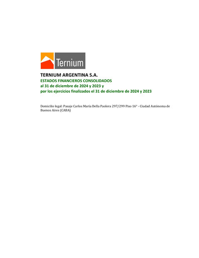 Thumbnail Ternium Argentina Financial Statement 2024-q4