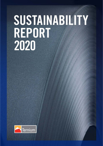 Miniature Ternium Argentina Rapport de durabilité 2020