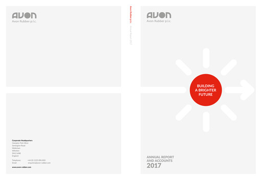 Miniature Avon Protection Rapport annuel 2017