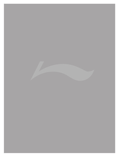 Miniature Li Ning Company Rapport semestriel 2004-h1
