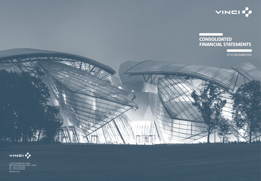 Thumbnail Vinci Financial Statement 2014