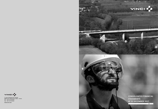 Thumbnail Vinci Financial Statement 2017
