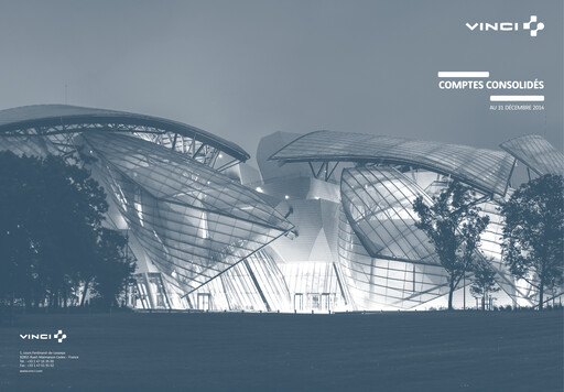 Thumbnail Vinci Financial Statement 2014