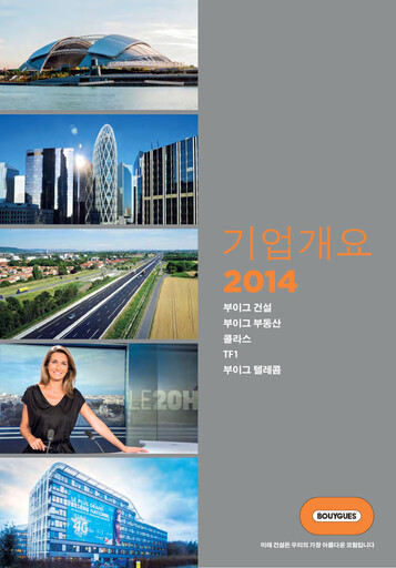 Thumbnail Bouygues Annual Report 2014