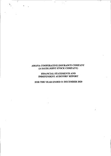 Thumbnail Amana Cooperative Insurance Company Financial Statement 2020