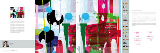 Thumbnail Pernod Ricard Annual Report 2007