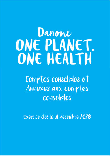 Thumbnail Danone Financial Statement 2020