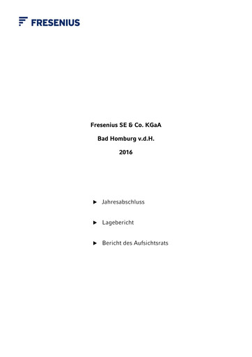 Thumbnail Fresenius Financial Statement 2016