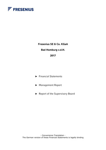 Thumbnail Fresenius Financial Statement 2017