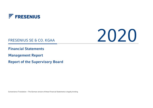 Thumbnail Fresenius Financial Statement 2020