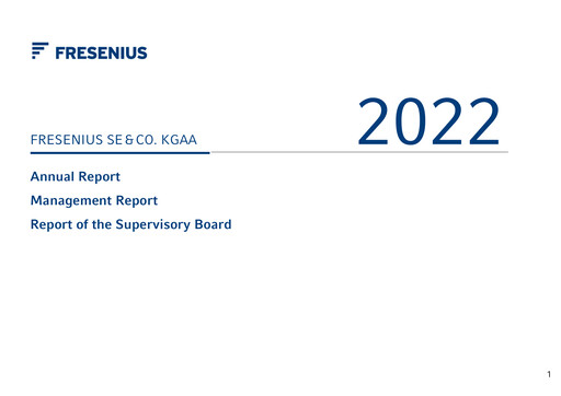 Thumbnail Fresenius Financial Statement 2022