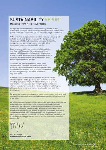 Miniature APA Group Rapport de durabilité 2010