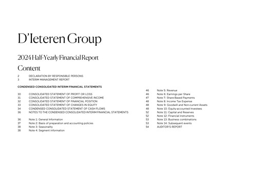 Thumbnail D'Ieteren Group Half-year Report 2024-h1