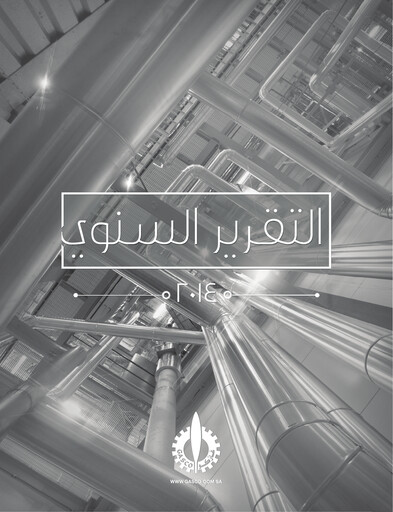 Miniature Gasco (National Gas and Industrialization Company) Rapport annuel 2014