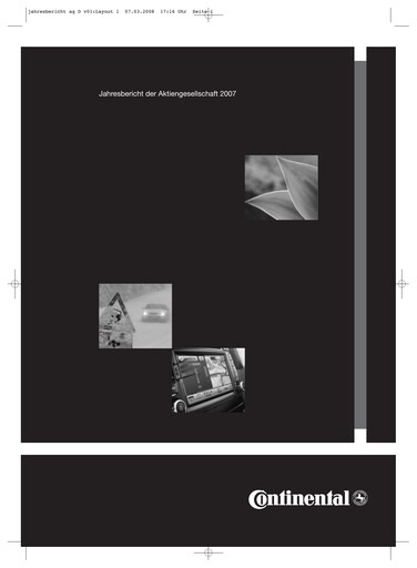 Thumbnail Continental Financial Statement 2007