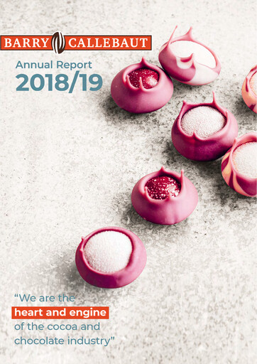 Miniature Barry Callebaut
 Rapport annuel 2018-2019