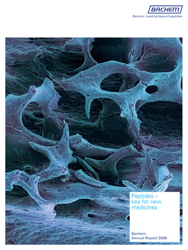 Vorschaubild Bachem Jahresbericht 2006