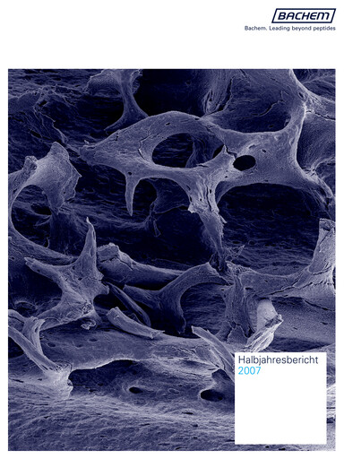 Miniature Bachem Rapport semestriel 2007-h1