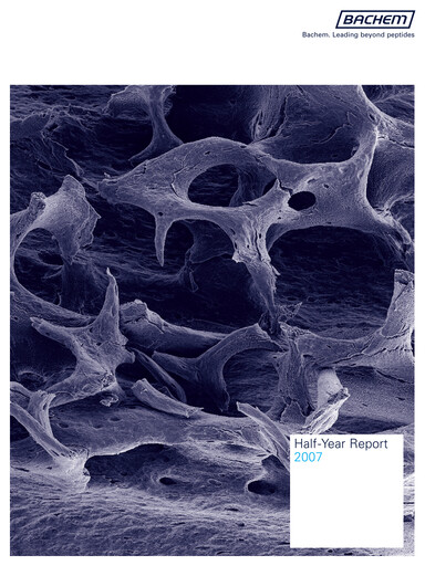 Miniature Bachem Rapport semestriel 2007-h1