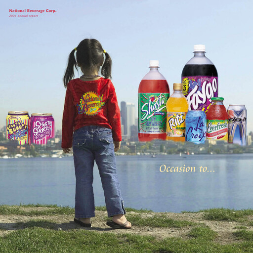 Vorschaubild National Beverage
 Jahresbericht 2004