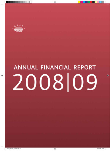 Thumbnail Agrana Financial Statement 2008-2009