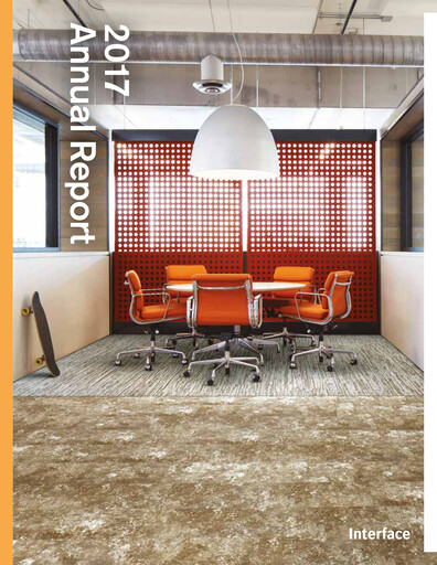 Thumbnail Interface, Inc. Annual Report 2017