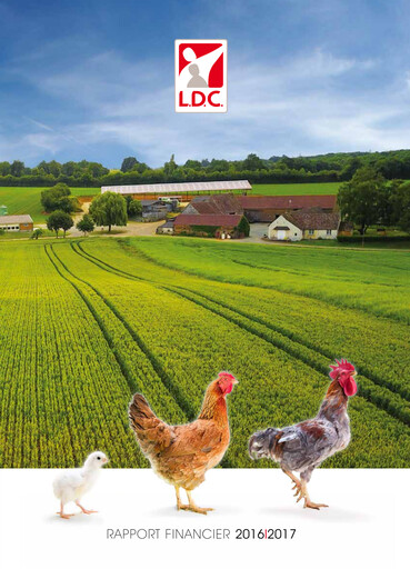 Vorschaubild L.D.C. S.A. Finanzbericht 2016-2017