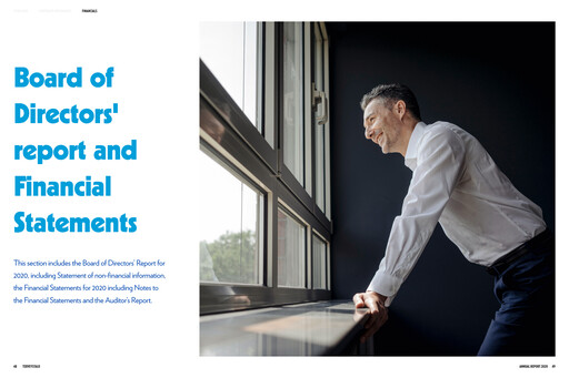 Thumbnail Terveystalo Financial Statement 2020