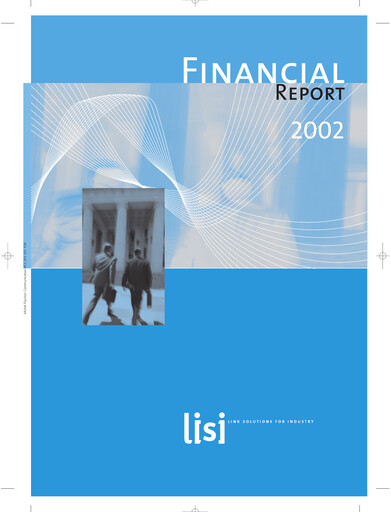 Thumbnail Lisi S.A. Financial Report 2002