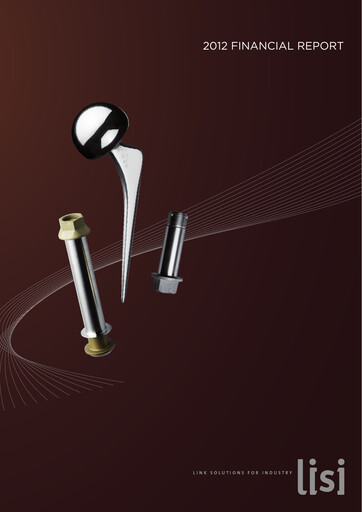 Thumbnail Lisi S.A. Financial Report 2012