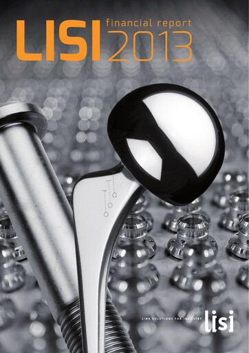 Thumbnail Lisi S.A. Financial Report 2013