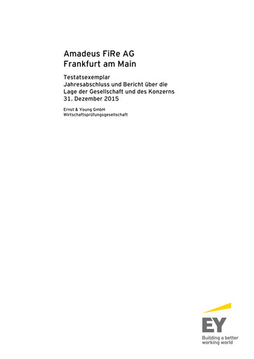 Thumbnail Amadeus Fire Financial Statement 2015