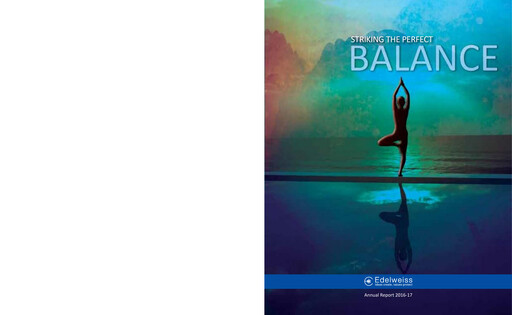 Miniature Edelweiss Financial Services Rapport annuel 2016-2017
