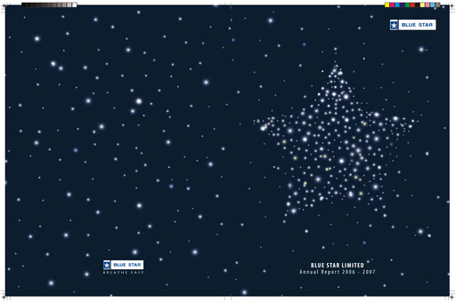 Miniature Blue Star
 Rapport annuel 2006-2007