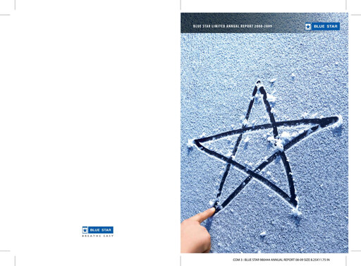 Miniature Blue Star
 Rapport annuel 2008-2009