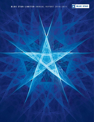 Miniature Blue Star
 Rapport annuel 2010-2011