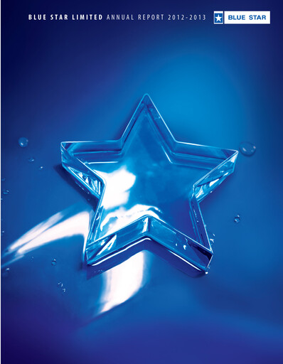 Miniature Blue Star
 Rapport annuel 2012-2013