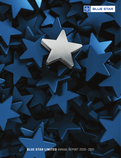 Miniature Blue Star
 Rapport annuel 2020-2021