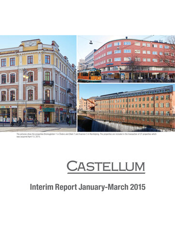 Thumbnail Castellum Quarterly Report 2015-q1