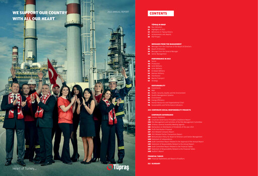 Thumbnail Türkiye Petrol Rafinerileri Annual Report 2013
