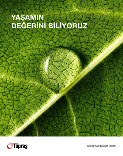 Thumbnail Türkiye Petrol Rafinerileri Annual Report 2020