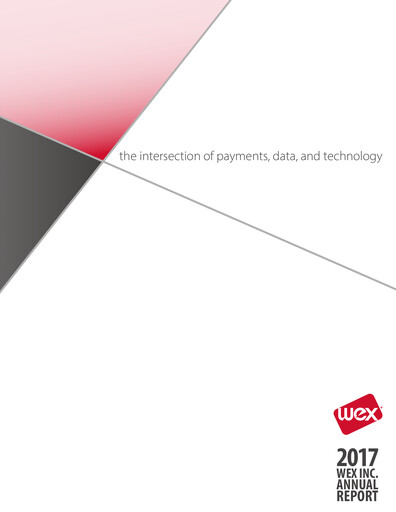Miniature WEX Rapport annuel 2017