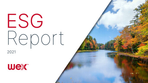 Miniature WEX Rapport ESG 2021