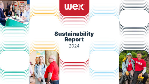 Miniature WEX Rapport de durabilité 2024