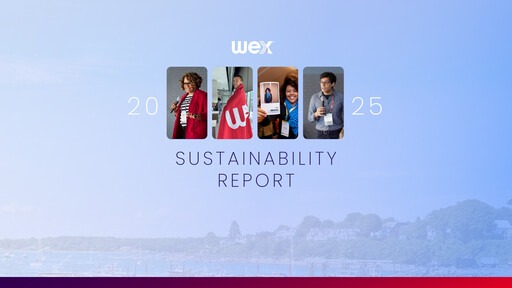 Miniature WEX Rapport de durabilité 2025