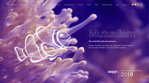 Thumbnail Sappi Sustainability Report 2019