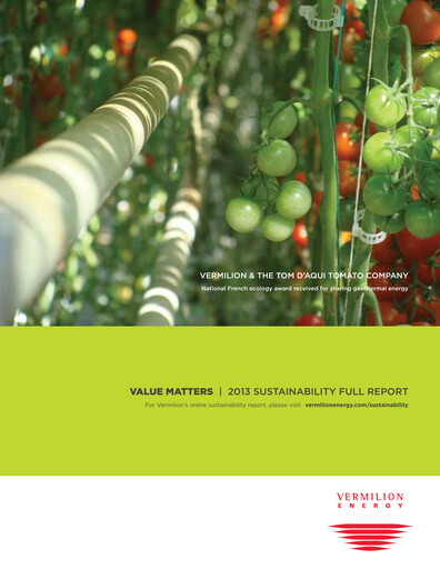 Thumbnail Vermilion Energy
 Sustainability Report 2013