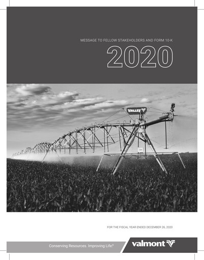 Miniature Valmont Industries
 Rapport annuel 2020